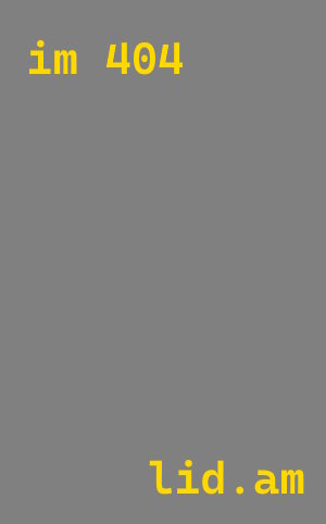 Импорт Li Auto из Китая в Мегион по цене от 156375 р. | А5Групп